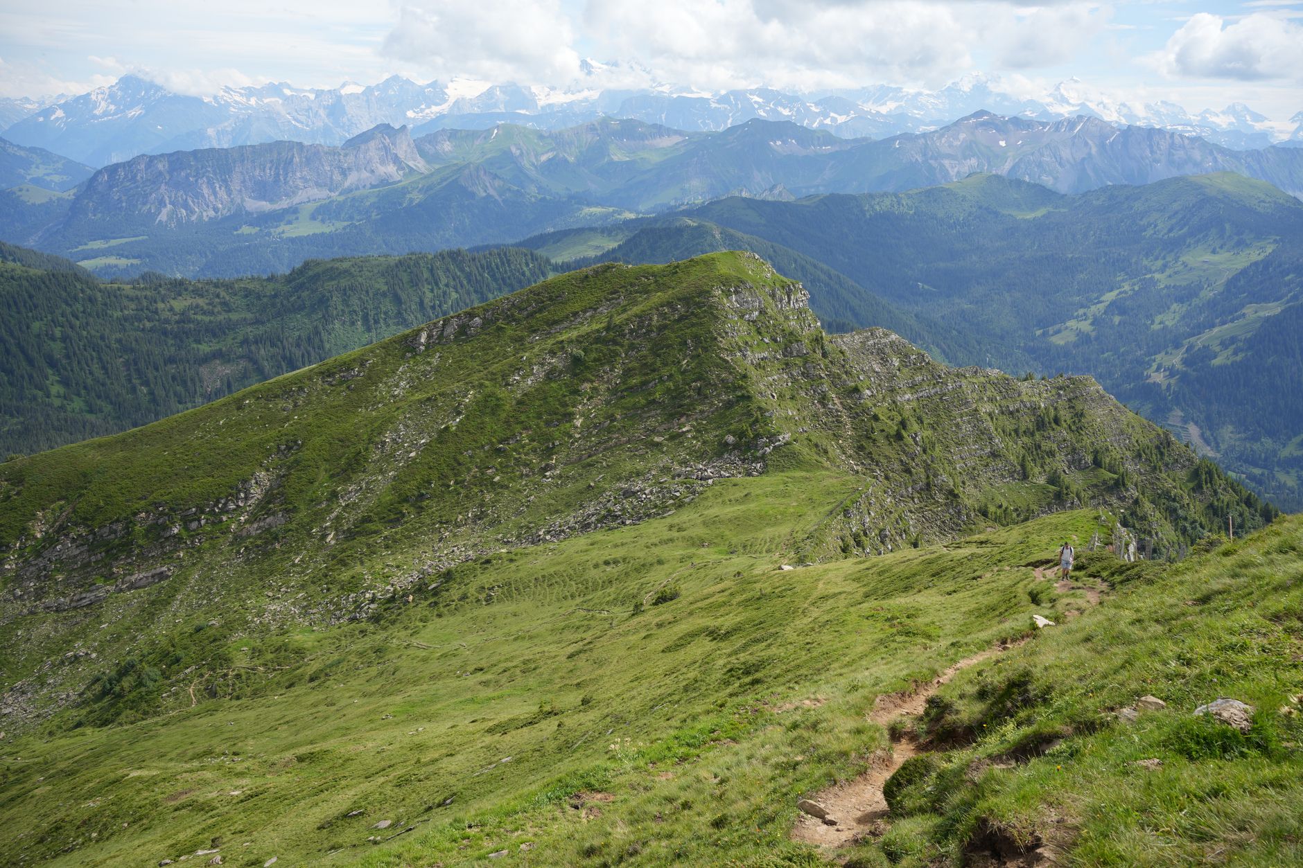 Krkonošská hřebenovka